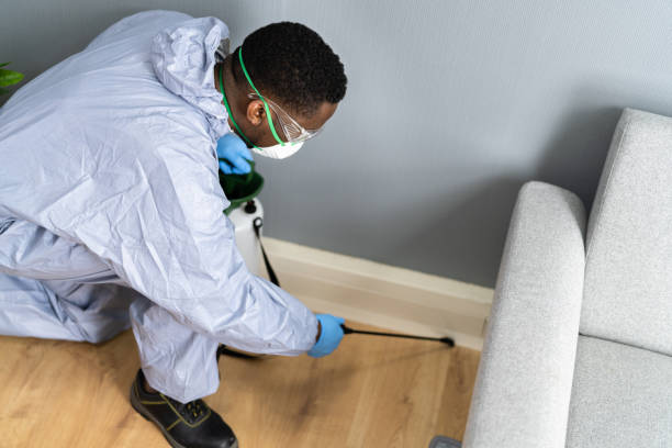 Best Fumigation Services  in California, PA